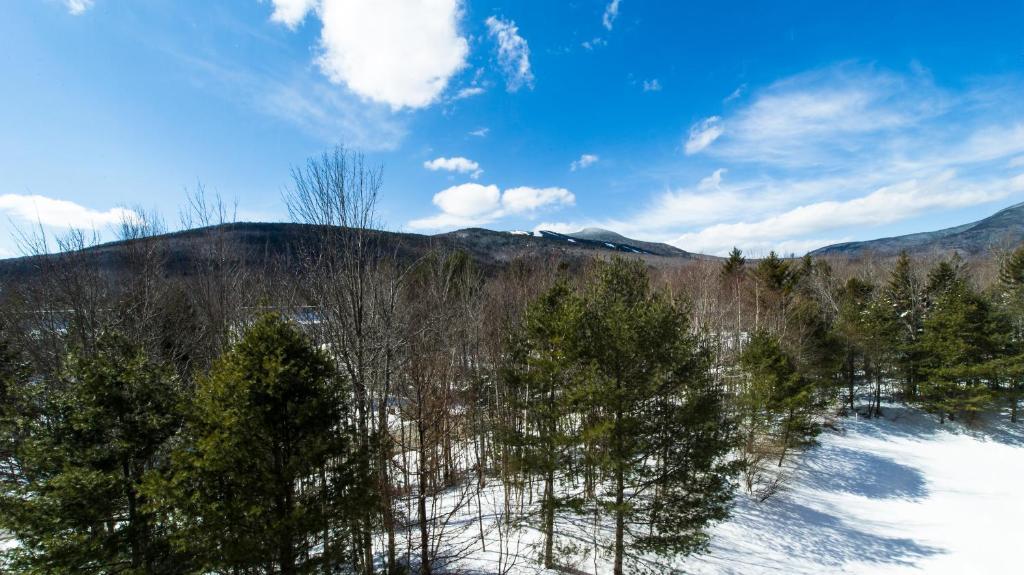 Black Bear Lodge Waterville Valley Exterior foto